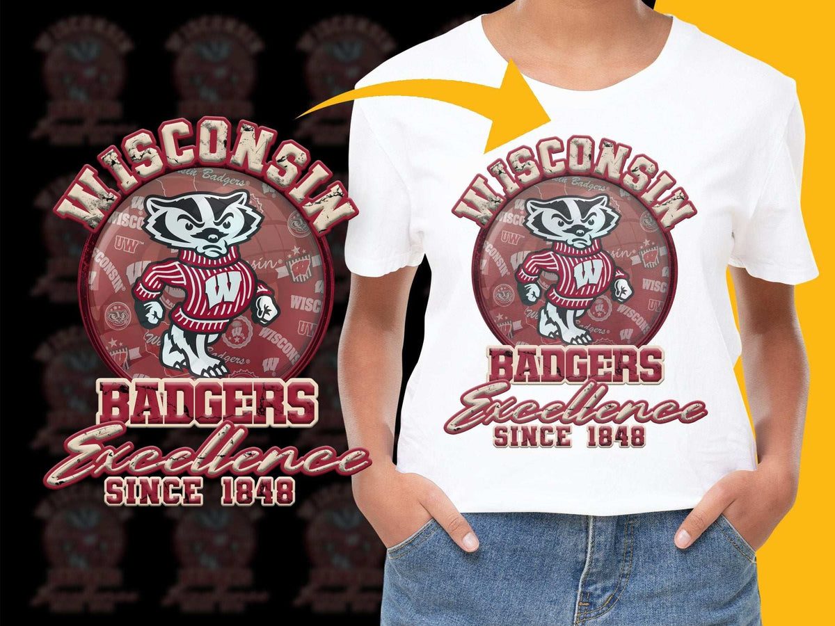 Wisconsin Badgers T-Shirt, Excellence Since 1848, College Sports Tee, Fan Apparel, University Merchandise, Graphic Tee