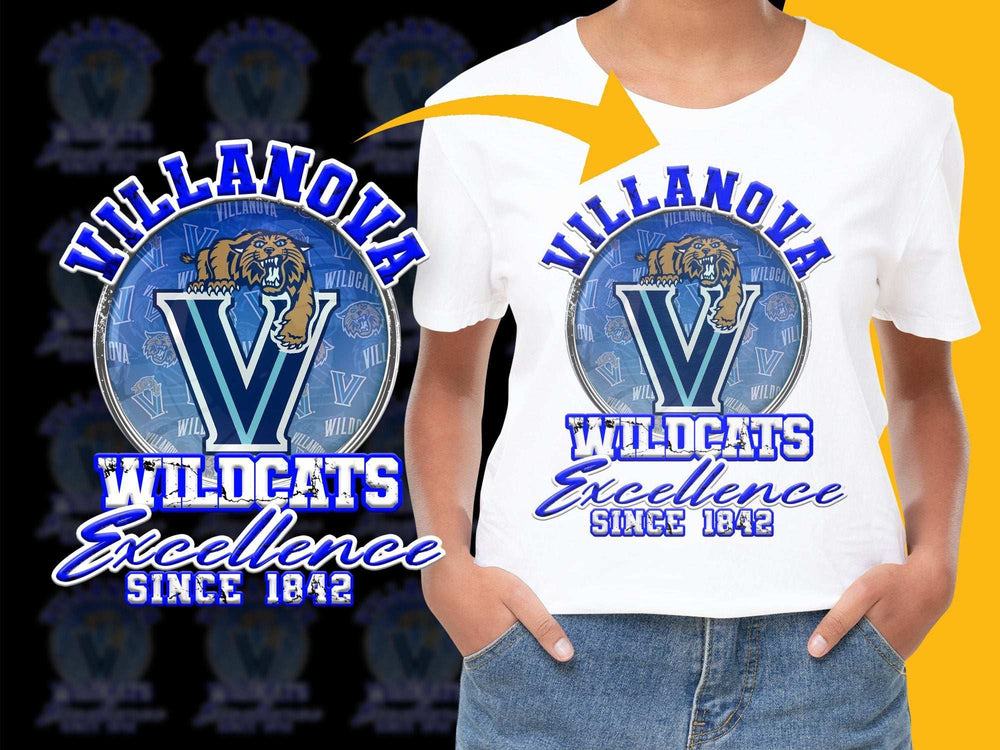 Villanova Wildcats T-Shirt, Excellence Since 1842, Youth Graphic Tee, College Sports Apparel
