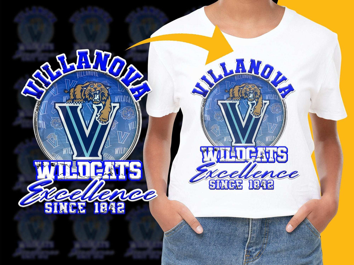 Villanova Wildcats T-Shirt, Excellence Since 1842, Youth Graphic Tee, College Sports Apparel