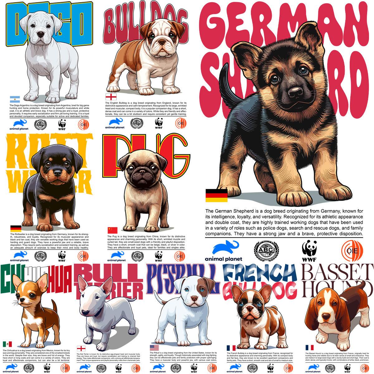 10 Cute Dog & Puppy Streetwear Designs: PNG & PDF Bundle
