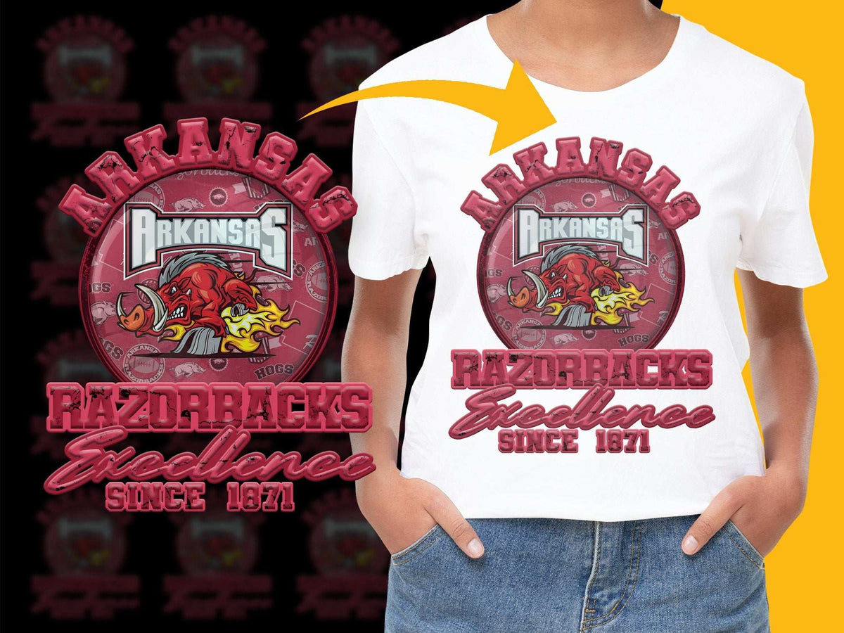 Arkansas Razorbacks T-Shirt, Excellence Since 1871, Vintage Sports Tee, College Football Apparel, Fan Gift Idea