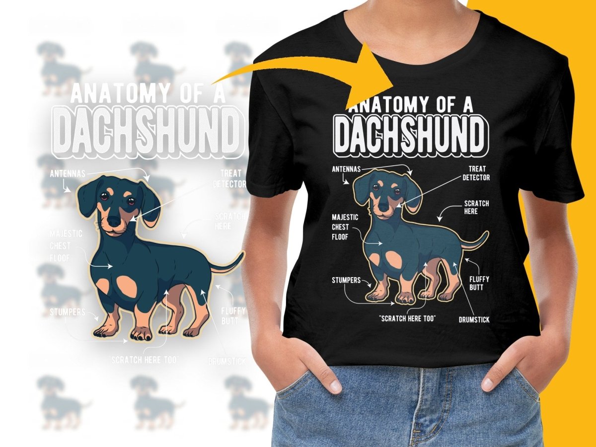 Anatomy of a Dachshund Funny Graphic PNG File - Teepew