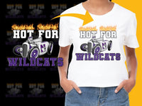 Load image into Gallery viewer, Northwestern Wildcats NCAA College PNG File - Teepew